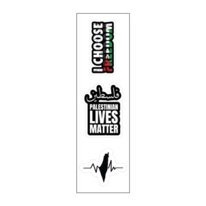 I Choose Freedom Vinyl Sticker Pack Reusable & Waterproof